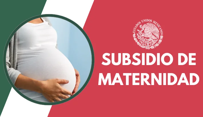 Subsidio para mujeres Embarazadas